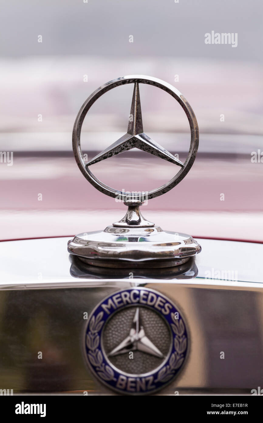 close-up-of-mercedes-benz-bonnet-badge-from-the-1970s-on-an-old-vintage-E7EB1R.jpg
