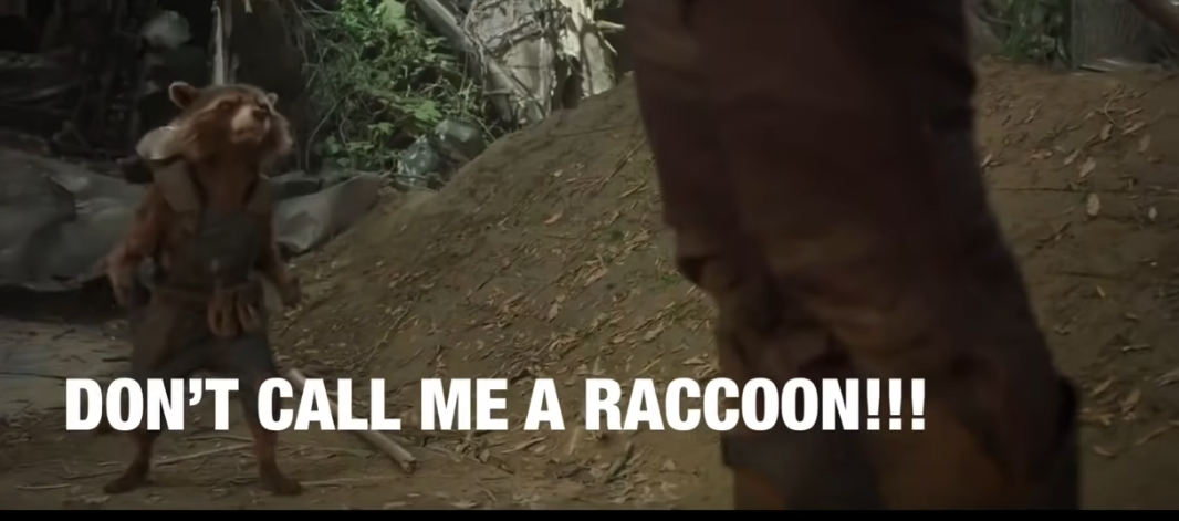 Screenshot 2021-12-17 at 18-46-57 Rocket Raccoon being confused for other animals for 2 minute...png