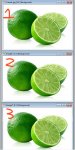 1 2 3 limes test Image4.jpg 1 2 3 limes test Image4.jpg