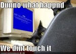 funny_computer_cats.jpg