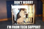 tech-support-funny-cat-pic_large.jpg