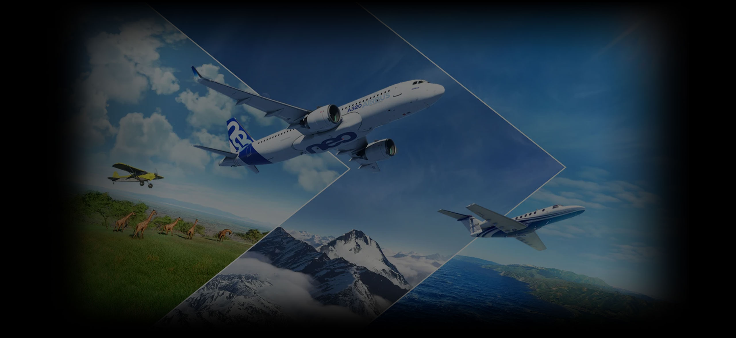background image of game